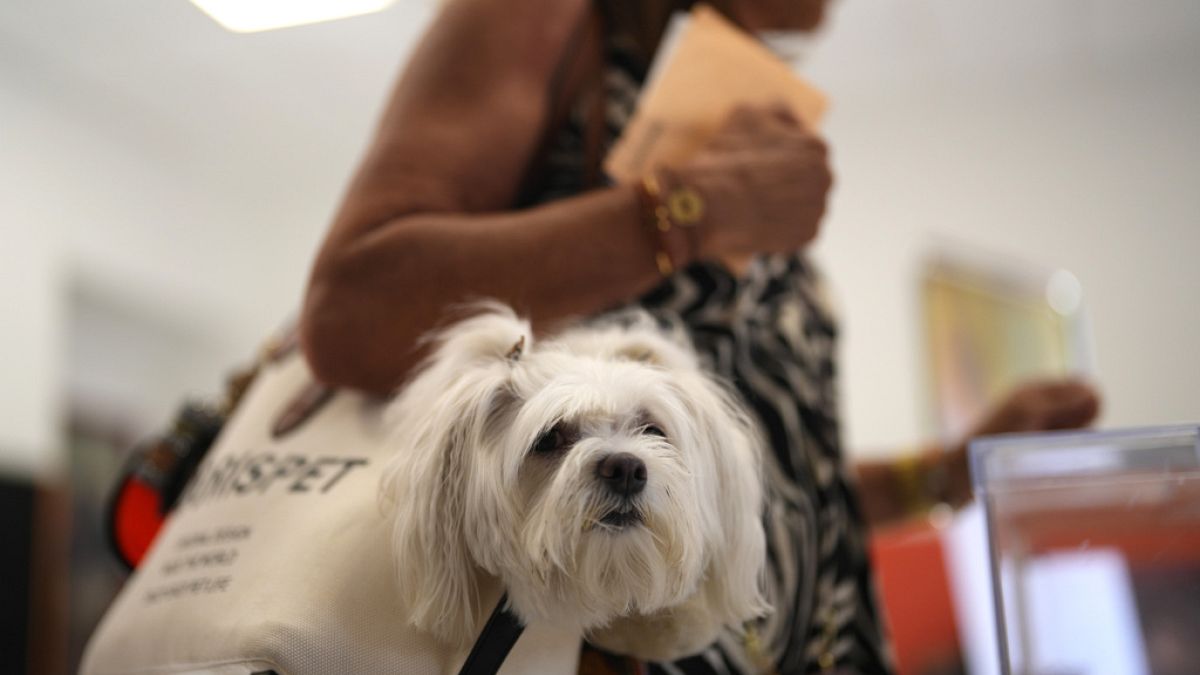 Spain’s first public pet cemetery opens with grief help for house owners